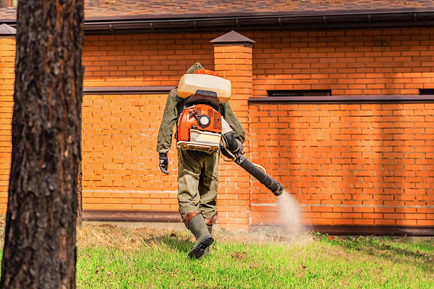 Trusted Rodent Control service in Mundys Corner, PA - Nex Pest Control